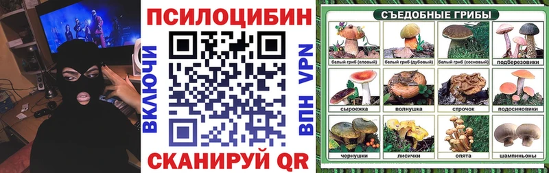 Галлюциногенные грибы Cubensis  Коряжма 