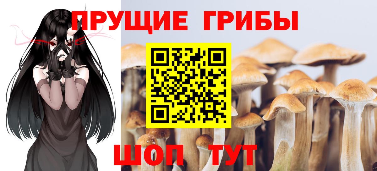 Галлюциногенные грибы MAGIC MUSHROOMS Коряжма