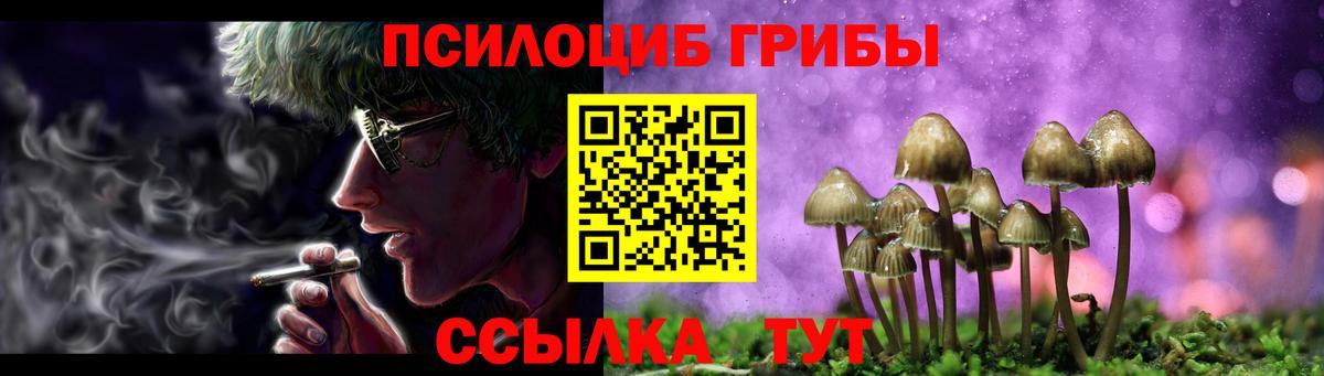 Галлюциногенные грибы Magic Shrooms  Псилоцибиновые грибы ЛСД  Вход с VPN  Коряжма 